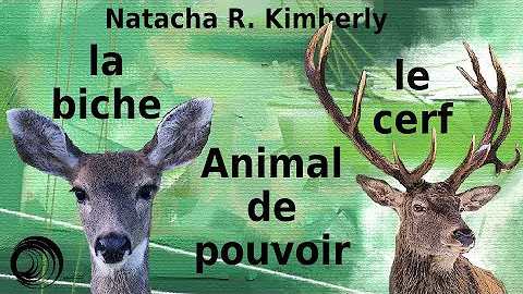 Quel animal mange le cerf