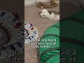 Pixel 3 video