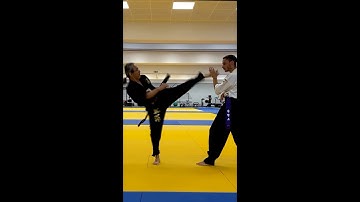 Shuffle Chop Kick Series #1 - Distance by Hwa Rang Do® Grandmaster Taejoon Lee