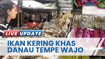 Ikan Kering Makanan Khas Danau Tempe Wajo, Penghasil Ikan Tawar Terbanyak di Sulsel