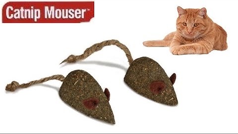 Catnip Mouser from Petlinks
