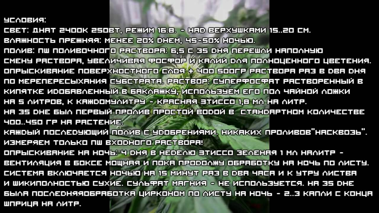 Уход за автоцветами 425