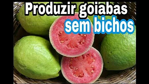 Como acabar com bicho de frutas?