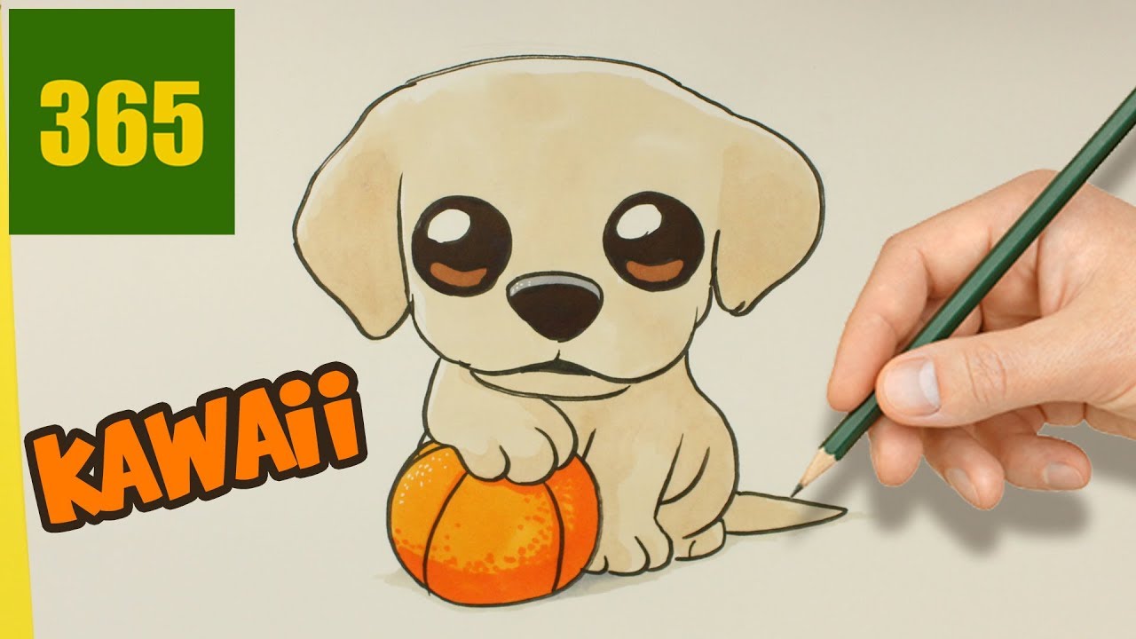 Comment Dessiner Un Chien Labrador Kawaii Comment Dessiner Un Chiot Très Kawaii