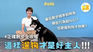 #汪的LAND｜避免遛狗 NG 行為，做個讓狗狗快樂的好主人！訓練師 & 獸醫傳授正確散步全攻略！
