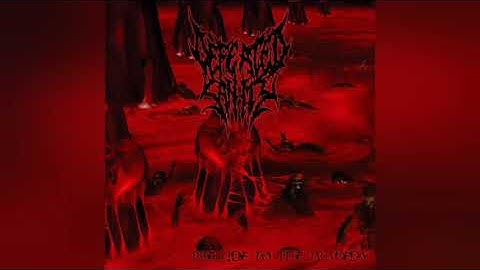 Defeated Sanity - Drifting Further (2004)