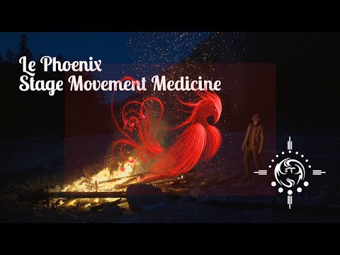 Phoenix Movement Medicine