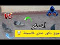 ميمكنش اليوم اكتشفت اخط.ر دكور عندي فالسجنة 🤯🔥🕊️ توليعة عالمية فالدكور
