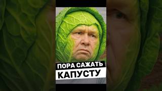 Америка - Рай для Мошенников!
