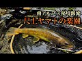 【南アルプス】尺越えが当たり前な某秘境源流へ片道3時間かけて行ってきました。