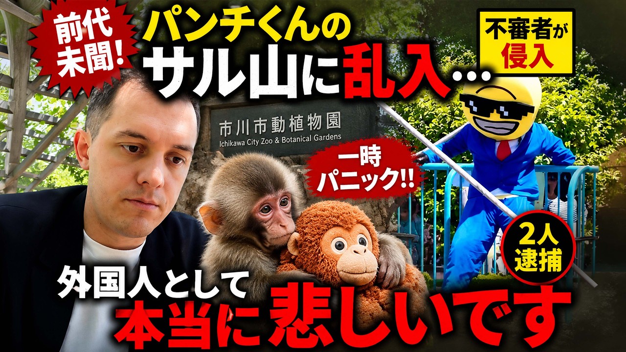 パンチくんのサル山に外国人が乱入…本当に悲しいです