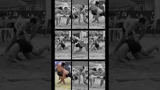 Пляжное сумо «Кубок ФСР» #sumo #wrestling #борьба #sport #shorts