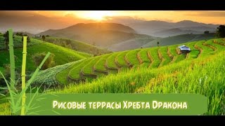 Рисовые террасы Хребта Дракона, Китай 2016 | Rice terraces of Dragon Ridge, Longshen, China