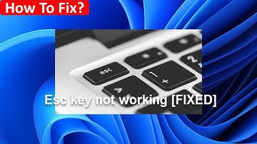 Fix Esc Key Not Working in Windows 11/10