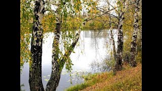 Альбом "Любимые песни" Поёт Виктор Гераскин