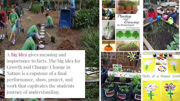 Module 6 Unit 1 Activity 1 Katherine Guevara