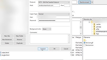 Website Walkthrough Part 1 - Setting Up Your FTP Software on Dreamhost (Filezilla)