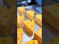 トムとジェリーの世界から飛び出した可愛いすぎるチーズケーキ🧀