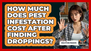How Much Does Pest Infestation Cost After Finding Droppings? - Insects and Invaders