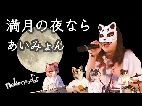 【猫でも弾けた♪】満月の夜なら / あいみょん  [ covered  by  nekoooooos  & 於兎 ]