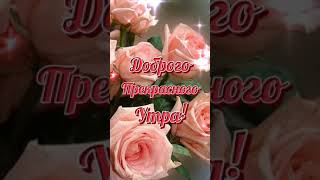 доброе утро