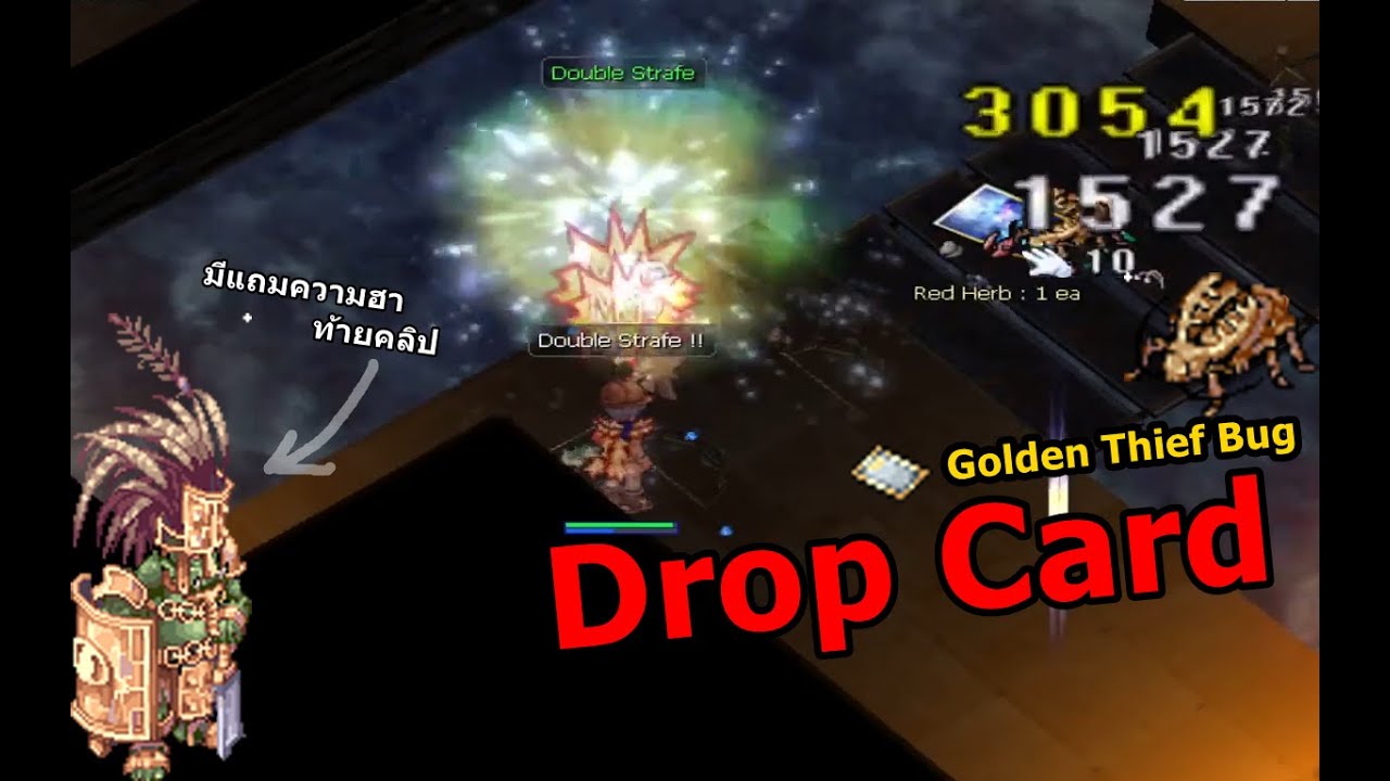 Golden Thief Bug Drop Card(ท้ายคลิปมีแถม)