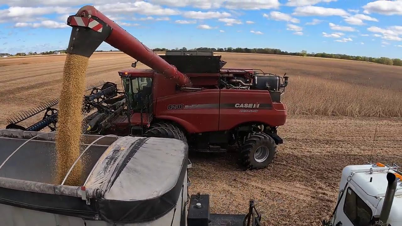 CASE IH 8230 Axial-Flow Combine - MacDon FD75 FlexDraper® - Soybeans - Monroe County - Harvest 2020