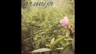 Cover lagu karunya