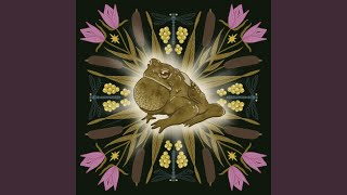 The Frog (feat. Joshua Cannon)
