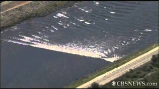 Caught on tape: Tsunami surge in Calif.