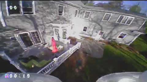 BeeBrain Lite - Quick & Smoov Freestyle