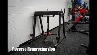 Rogue Reverse Hyperextension