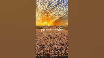 ياسر الدوسري - تلاوة خاشعة