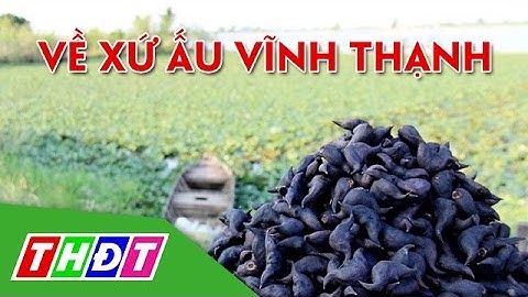 THDT - Về xứ ấu Vĩnh Thạnh - Ngõ ngách miền Tây