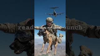 Elite K9 and Soldier Airborne Deployment! 🐕🦺🪂