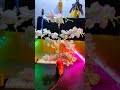 Best Diwali Decoration Light || #shorts #outoffnetwork