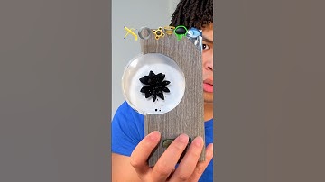 The Most SATISFYING Things I Own