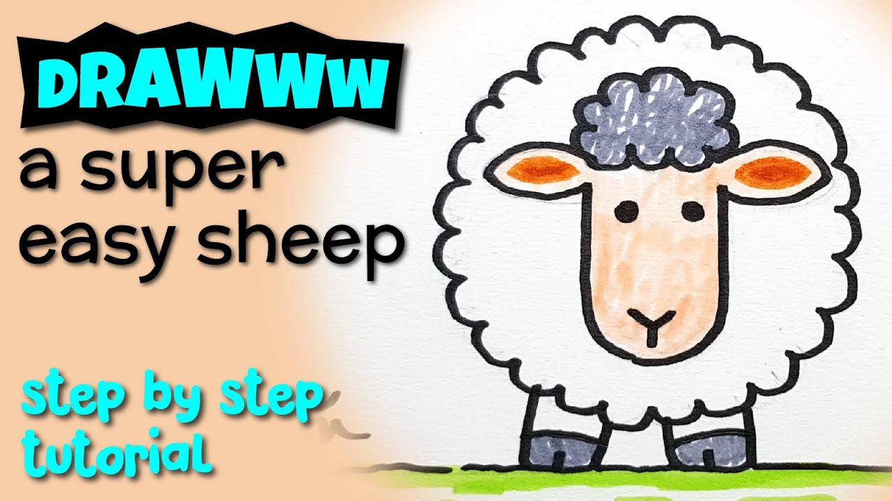 HOW TO DRAW A SUPER EASY SHEEP (Learn Step By Step) - YouTube