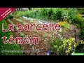 Des nouvelles de la parcelle témoin - Autonomie et permaculture avec David