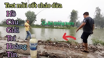 test mồi cốt cháo dừa, hồ câu hoàng tín, và cái kết không tưởng@CuongFising