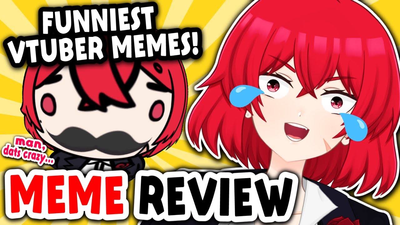 VTuber Memes That Had Me Laughing! 😂 | MEME REVIEW Reacting To Memes About Me!