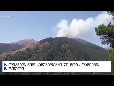 თუშეთში ხანძარს კვლავ აქრობენ - ცეცხლი 10 ჰექტარს უკიდია