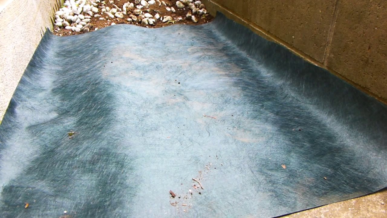 楽しいセカンドライフ 5月