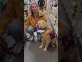 Service Dog Training for Anxiety issues