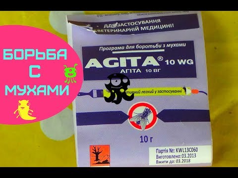 Video: Kaip Atsikratyti Siuntimų