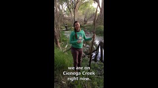 Cienega Confluence - Release the Beavers Update - April 2024