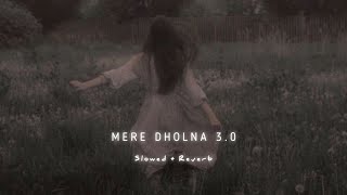 Mere Dholna 3.0 (slowed   reverb) ~ Bhool Bhulaiyaa 3