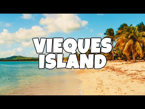 Best Things To Do in Vieques Island Puerto Rico
