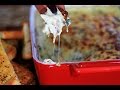 Crab Spinach Artichoke Dip | CarnalDish