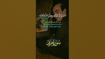 الا تحزني قد جعل ربك تحتكي سريا #سورة_مريم